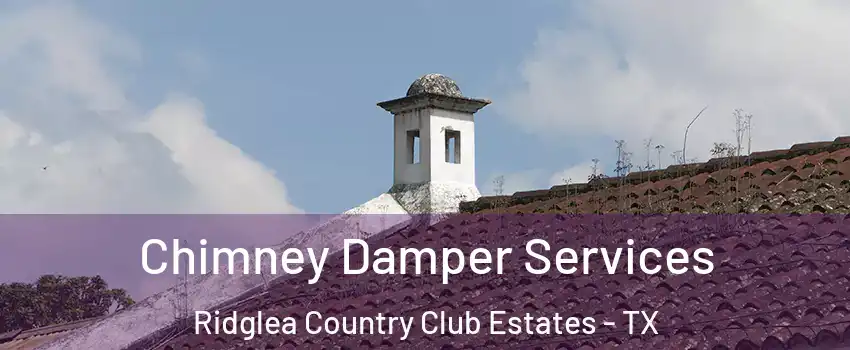 Chimney Damper Services Ridglea Country Club Estates - TX