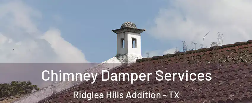 Chimney Damper Services Ridglea Hills Addition - TX