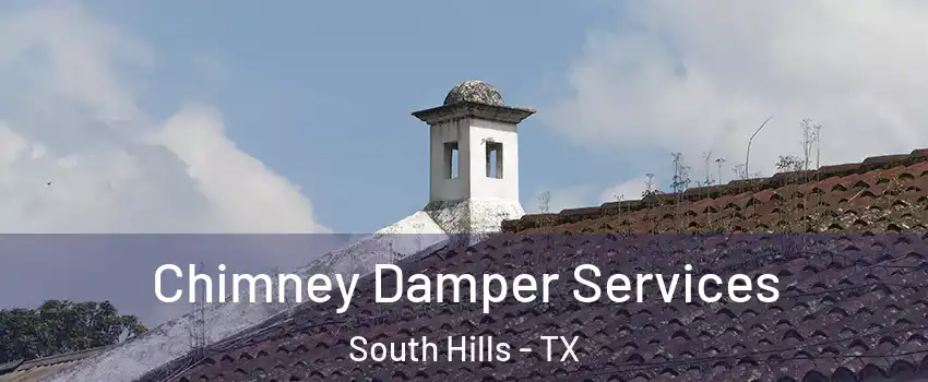 Chimney Damper Services South Hills - TX