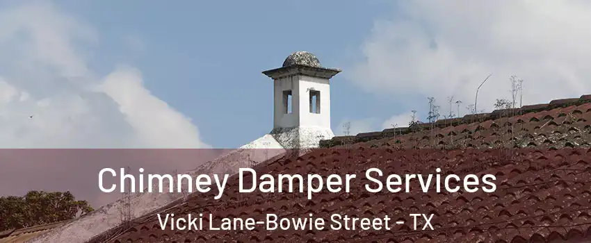 Chimney Damper Services Vicki Lane-Bowie Street - TX