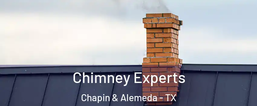 Chimney Experts Chapin & Alemeda - TX