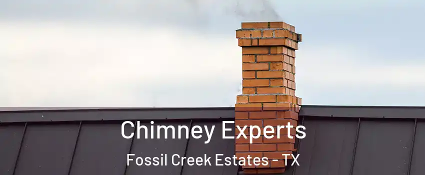 Chimney Experts Fossil Creek Estates - TX