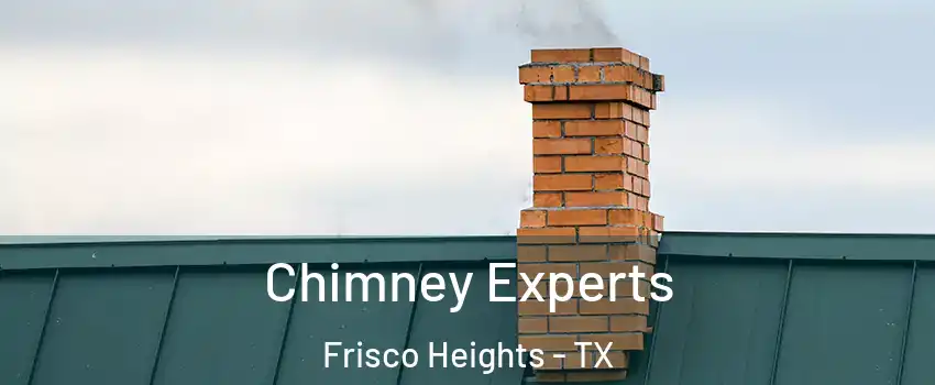 Chimney Experts Frisco Heights - TX