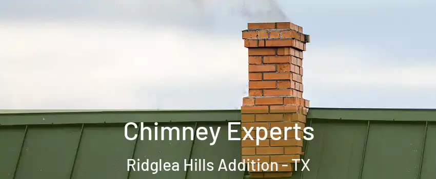 Chimney Experts Ridglea Hills Addition - TX