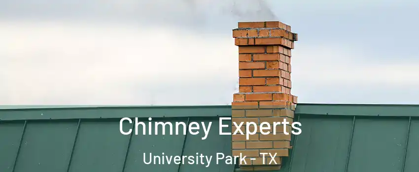 Chimney Experts University Park - TX