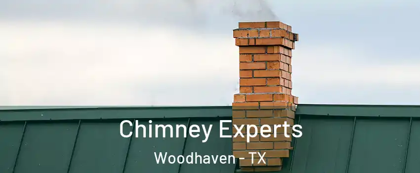 Chimney Experts Woodhaven - TX