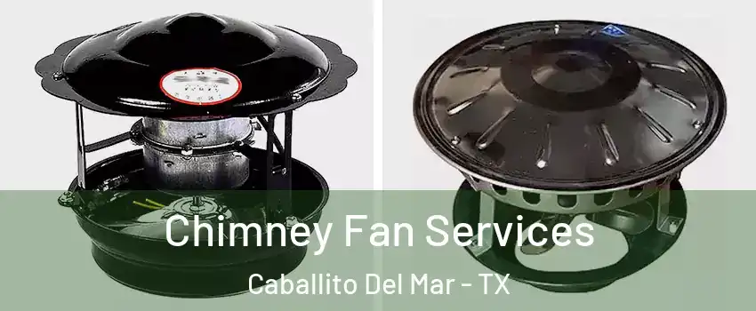 Chimney Fan Services Caballito Del Mar - TX