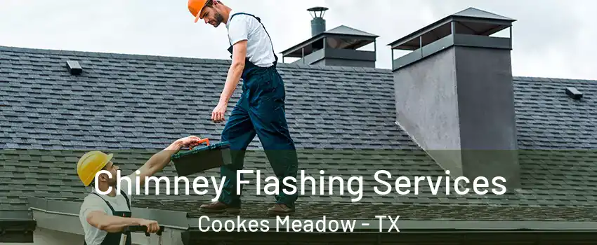 Chimney Flashing Services Cookes Meadow - TX