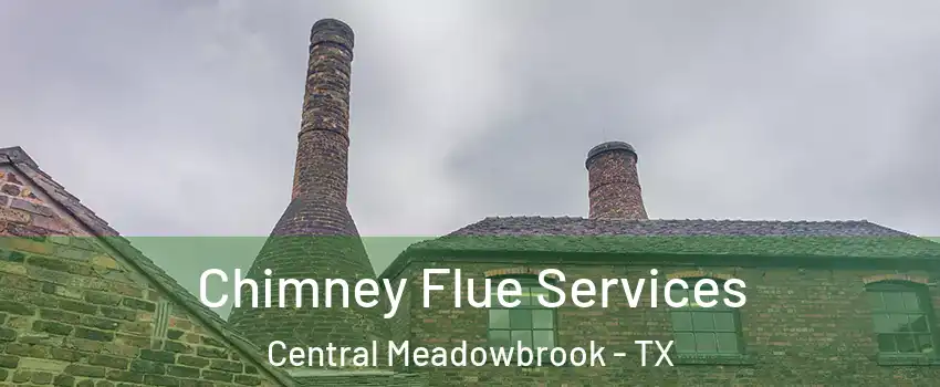 Chimney Flue Services Central Meadowbrook - TX