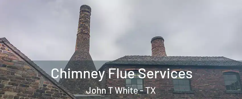 Chimney Flue Services John T White - TX