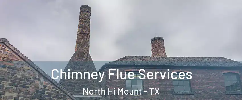 Chimney Flue Services North Hi Mount - TX