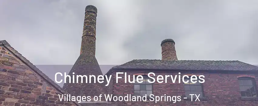 Chimney Flue Services Villages of Woodland Springs - TX