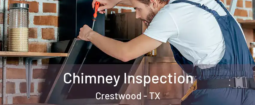 Chimney Inspection Crestwood - TX