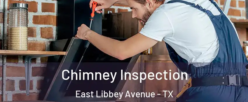 Chimney Inspection East Libbey Avenue - TX