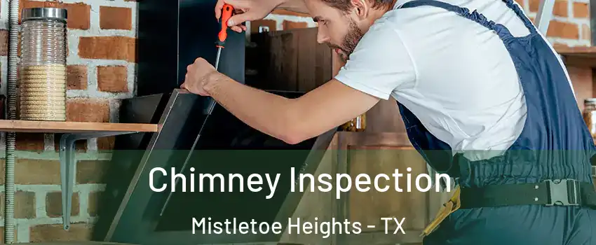 Chimney Inspection Mistletoe Heights - TX