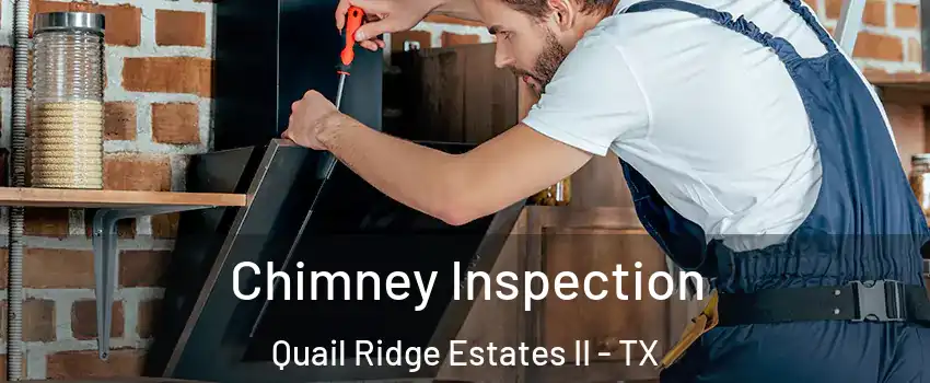 Chimney Inspection Quail Ridge Estates II - TX