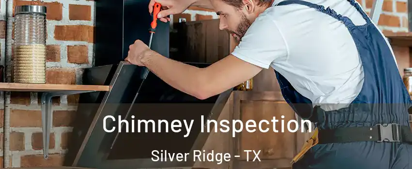 Chimney Inspection Silver Ridge - TX