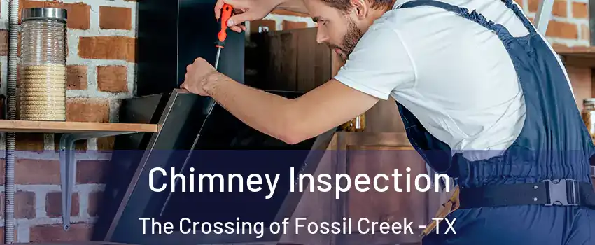 Chimney Inspection The Crossing of Fossil Creek - TX