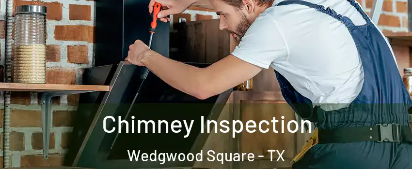 Chimney Inspection Wedgwood Square - TX