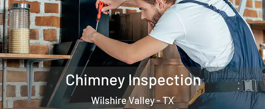 Chimney Inspection Wilshire Valley - TX