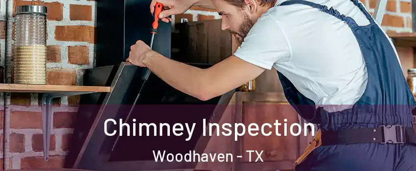 Chimney Inspection Woodhaven - TX