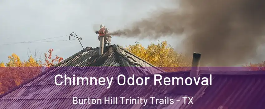 Chimney Odor Removal Burton Hill Trinity Trails - TX