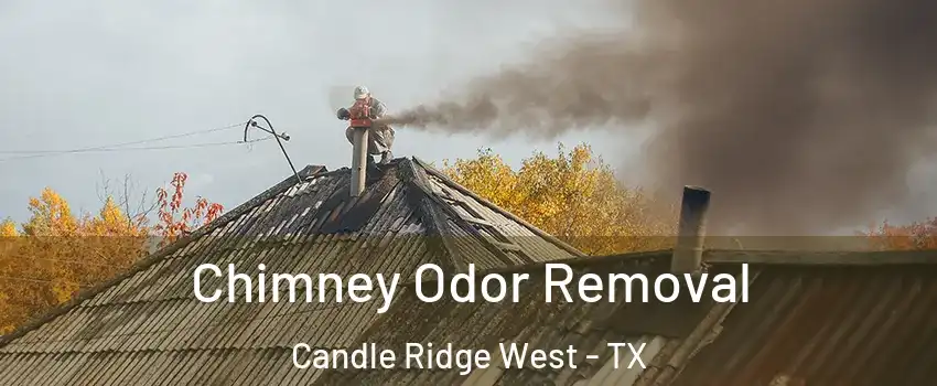 Chimney Odor Removal Candle Ridge West - TX