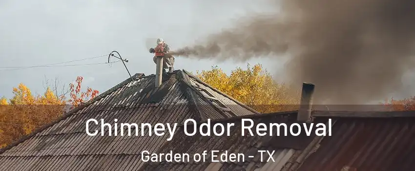 Chimney Odor Removal Garden of Eden - TX