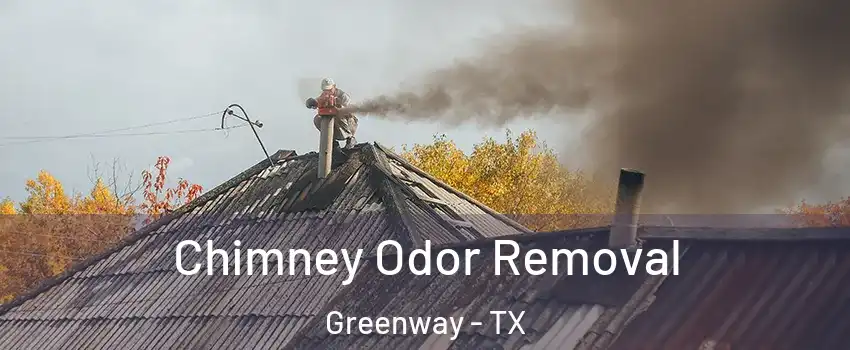 Chimney Odor Removal Greenway - TX