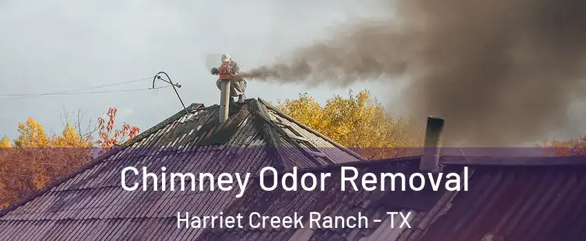 Chimney Odor Removal Harriet Creek Ranch - TX