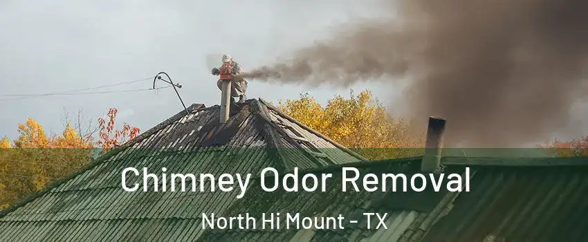 Chimney Odor Removal North Hi Mount - TX