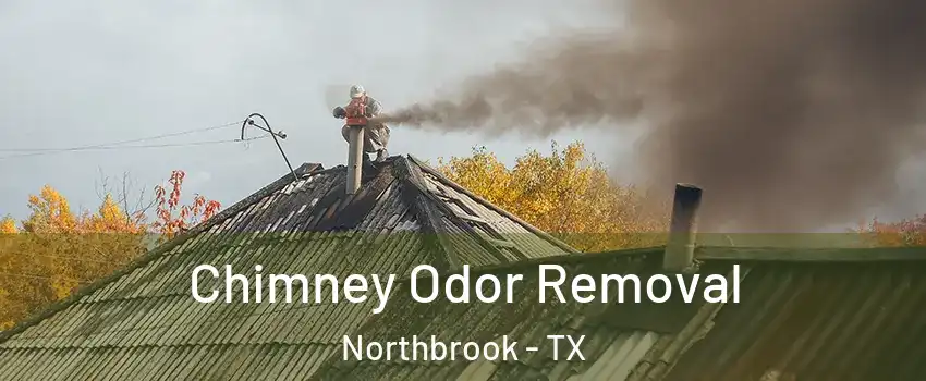 Chimney Odor Removal Northbrook - TX