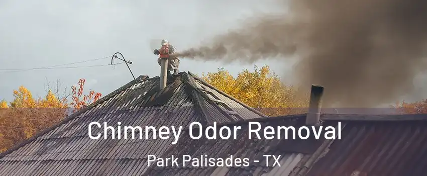 Chimney Odor Removal Park Palisades - TX