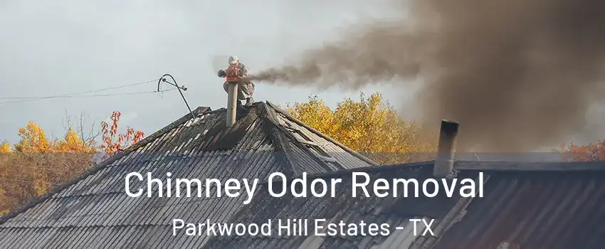 Chimney Odor Removal Parkwood Hill Estates - TX