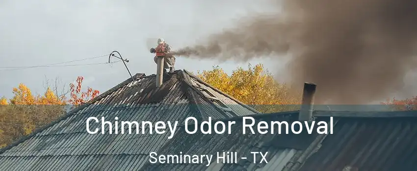 Chimney Odor Removal Seminary Hill - TX