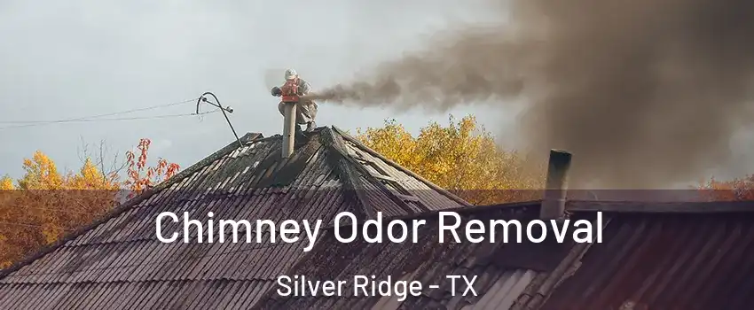 Chimney Odor Removal Silver Ridge - TX