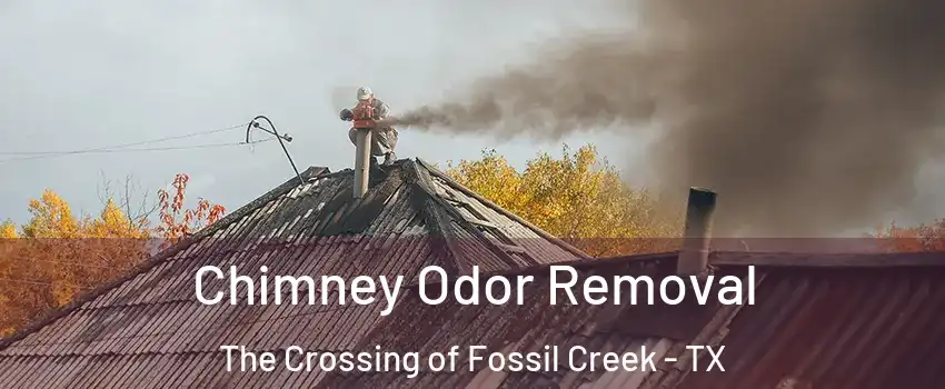 Chimney Odor Removal The Crossing of Fossil Creek - TX