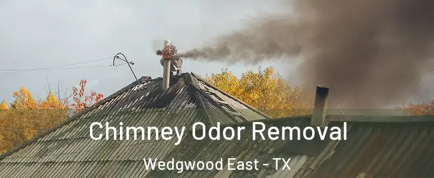 Chimney Odor Removal Wedgwood East - TX