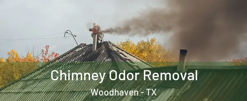 Chimney Odor Removal Woodhaven - TX