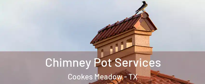 Chimney Pot Services Cookes Meadow - TX