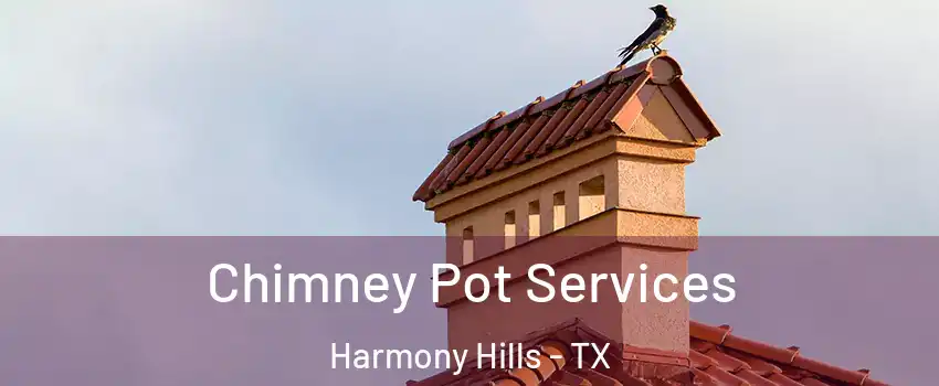 Chimney Pot Services Harmony Hills - TX