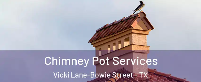 Chimney Pot Services Vicki Lane-Bowie Street - TX