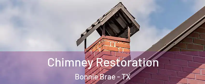 Chimney Restoration Bonnie Brae - TX