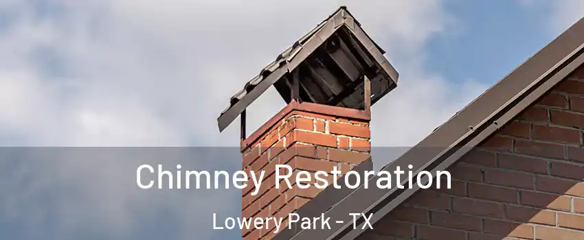 Chimney Restoration Lowery Park - TX