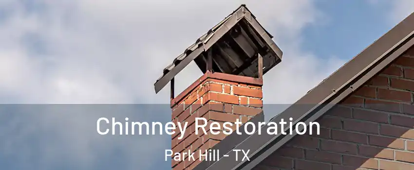 Chimney Restoration Park Hill - TX