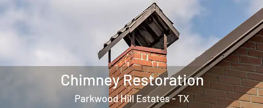 Chimney Restoration Parkwood Hill Estates - TX