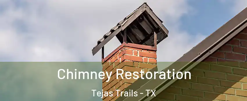 Chimney Restoration Tejas Trails - TX