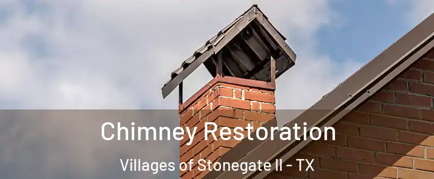 Chimney Restoration Villages of Stonegate II - TX