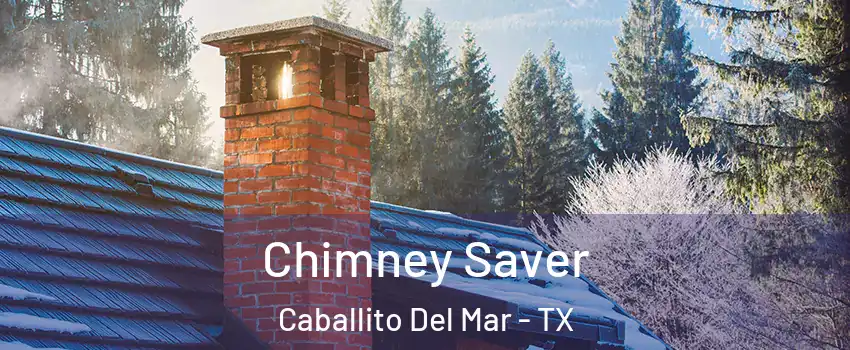 Chimney Saver Caballito Del Mar - TX