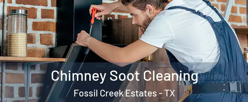 Chimney Soot Cleaning Fossil Creek Estates - TX